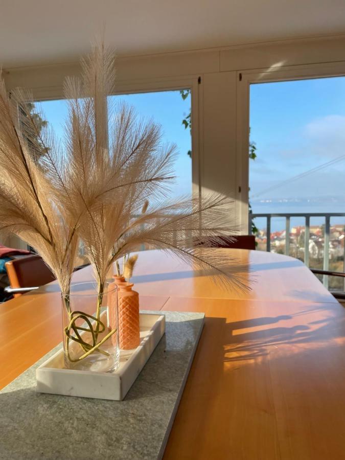 Villa Mit Traumhaftem Blick Uber Den Bodensee Bregencja Zewnętrze zdjęcie